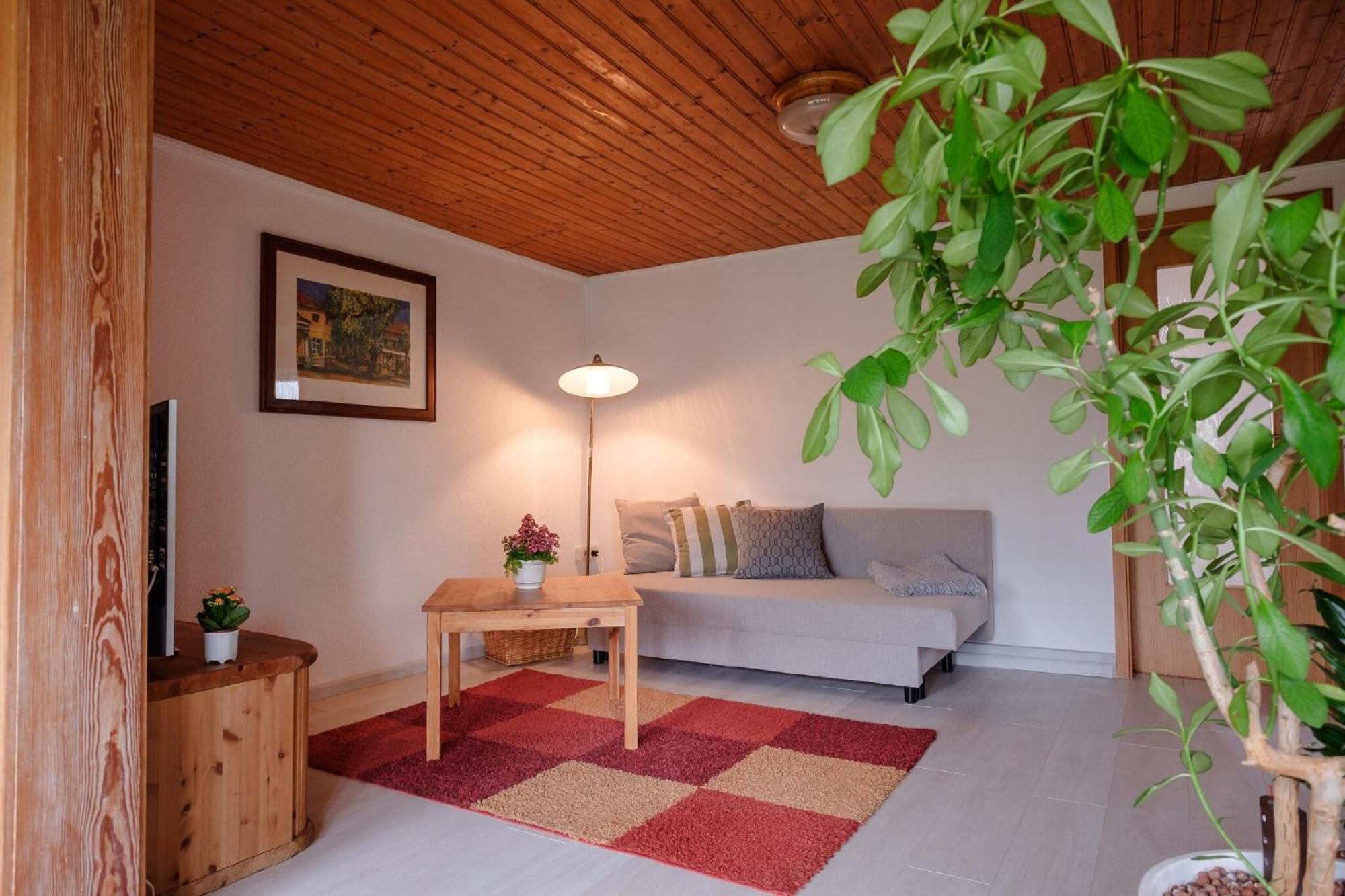 Loschwitz Apartment Dresden