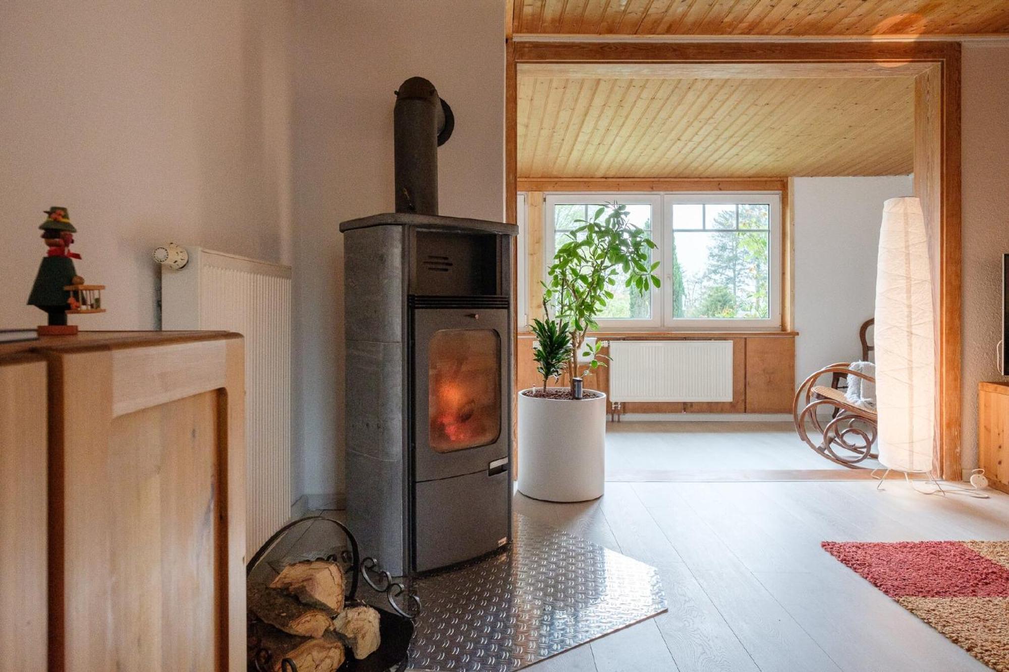 Apartment Loschwitz Dresden